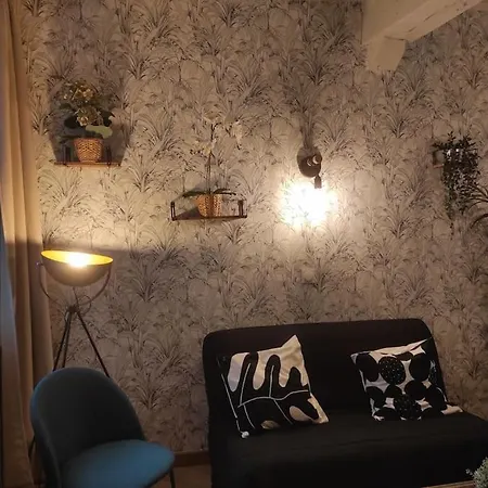 Apartment Studio Calme, Hyper Centre *